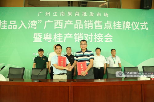 深化合作譜新篇 粵桂消費(fèi)協(xié)作再升級(jí)，“桂品入灣”助推區(qū)域發(fā)展